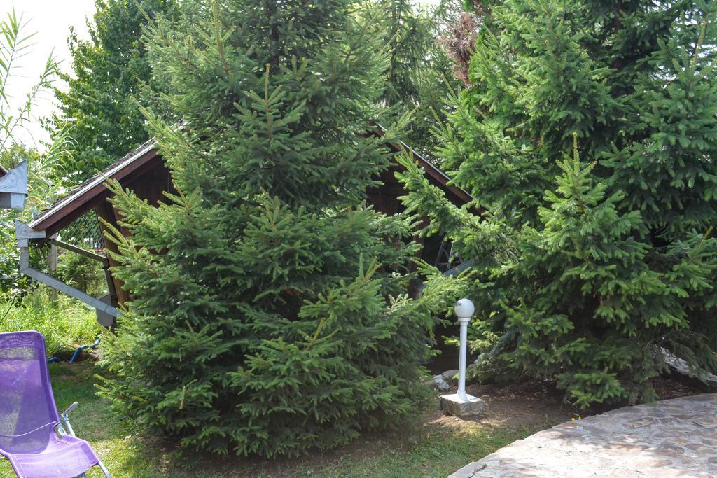 Camping Robinson Country Club Oradea Eksteriør bilde